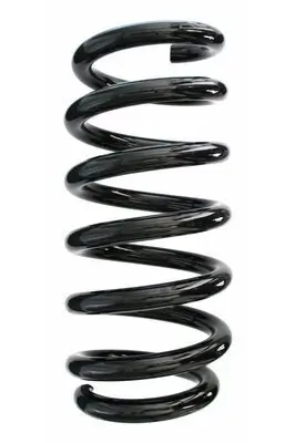 Fahrwerksfeder Hinterachse SPIDAN 87657