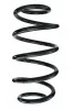 Fahrwerksfeder Vorderachse SPIDAN 87660