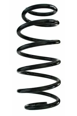 Fahrwerksfeder Vorderachse SPIDAN 87669