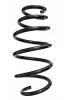 Fahrwerksfeder Vorderachse SPIDAN 87670