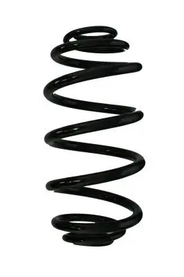 Fahrwerksfeder Hinterachse SPIDAN 87674