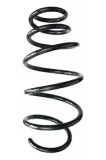 Fahrwerksfeder Vorderachse SPIDAN 87680