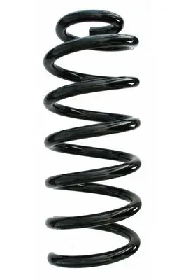 Fahrwerksfeder Hinterachse SPIDAN 87691