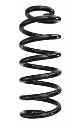 Fahrwerksfeder Hinterachse SPIDAN 87692