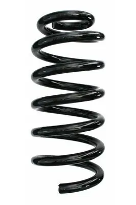 Fahrwerksfeder Hinterachse SPIDAN 87696