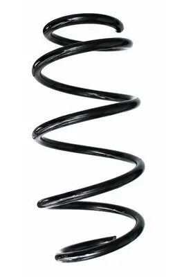 Fahrwerksfeder Vorderachse SPIDAN 87704