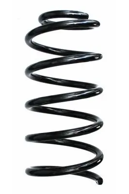 Fahrwerksfeder Hinterachse SPIDAN 87708