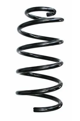 Fahrwerksfeder Hinterachse SPIDAN 87711