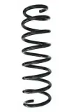 Fahrwerksfeder Hinterachse SPIDAN 87742