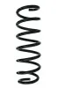 Fahrwerksfeder Hinterachse SPIDAN 87745