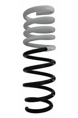 Fahrwerksfeder Hinterachse SPIDAN 87749