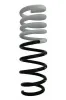 Fahrwerksfeder Hinterachse SPIDAN 87749