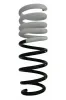 Fahrwerksfeder Hinterachse SPIDAN 87750
