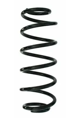 Fahrwerksfeder Hinterachse SPIDAN 87781