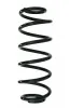 Fahrwerksfeder Hinterachse SPIDAN 87781