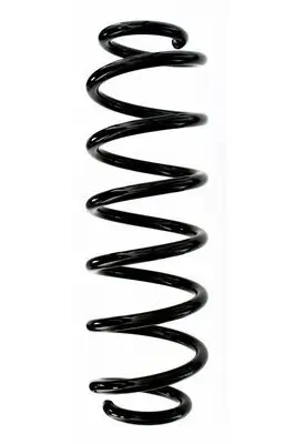 Fahrwerksfeder Hinterachse SPIDAN 87786