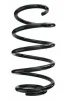 Fahrwerksfeder Vorderachse SPIDAN 87795
