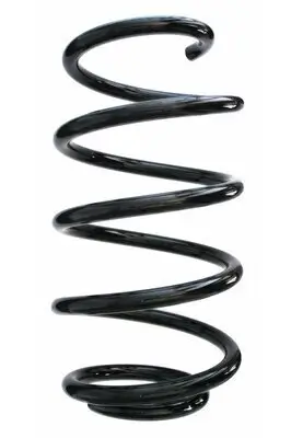 Fahrwerksfeder Vorderachse SPIDAN 87796