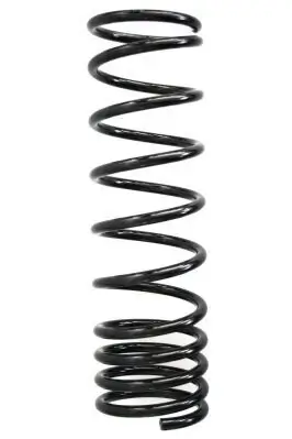 Fahrwerksfeder Hinterachse SPIDAN 87804