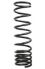 Fahrwerksfeder Hinterachse SPIDAN 87804