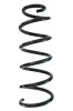 Fahrwerksfeder Hinterachse SPIDAN 87829