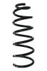 Fahrwerksfeder Hinterachse SPIDAN 87830