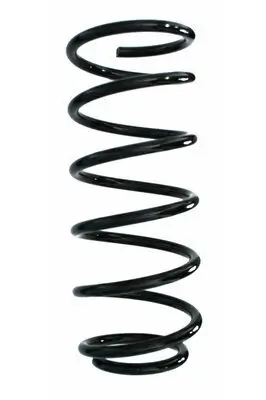 Fahrwerksfeder Hinterachse SPIDAN 87834