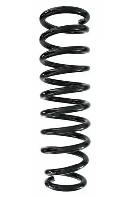 Fahrwerksfeder Hinterachse SPIDAN 87856