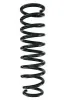 Fahrwerksfeder Hinterachse SPIDAN 87856