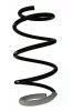 Fahrwerksfeder Vorderachse SPIDAN 87858