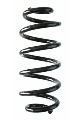 Fahrwerksfeder Hinterachse SPIDAN 87867