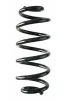 Fahrwerksfeder Hinterachse SPIDAN 87867