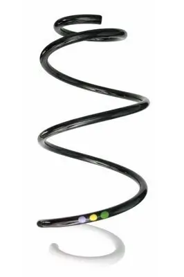 Fahrwerksfeder Vorderachse SPIDAN 87871 Bild Fahrwerksfeder Vorderachse SPIDAN 87871