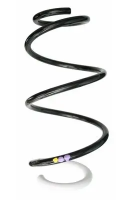 Fahrwerksfeder Vorderachse SPIDAN 87873