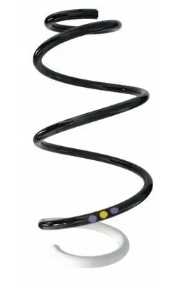 Fahrwerksfeder Vorderachse SPIDAN 87877