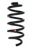 Fahrwerksfeder Hinterachse SPIDAN 87879
