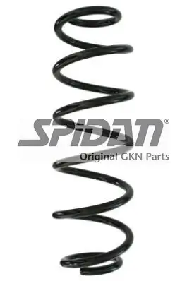 Fahrwerksfeder Hinterachse SPIDAN 87890