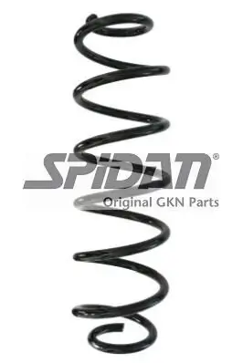 Fahrwerksfeder Hinterachse SPIDAN 87892