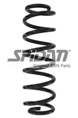 Fahrwerksfeder Hinterachse SPIDAN 87895