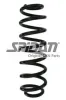 Fahrwerksfeder Hinterachse SPIDAN 87904