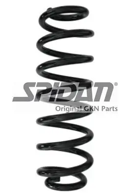 Fahrwerksfeder Hinterachse SPIDAN 87907
