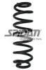 Fahrwerksfeder Hinterachse SPIDAN 87907