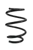 Fahrwerksfeder Vorderachse SPIDAN 87929