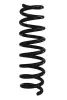 Fahrwerksfeder Hinterachse SPIDAN 87931