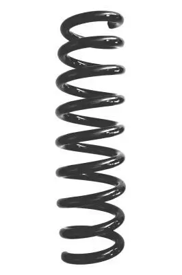 Fahrwerksfeder Hinterachse SPIDAN 87933