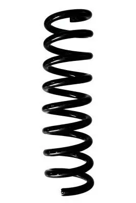 Fahrwerksfeder Hinterachse SPIDAN 87934