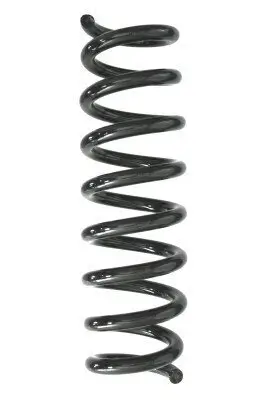 Fahrwerksfeder Hinterachse SPIDAN 87935