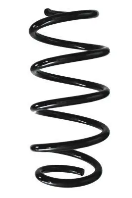 Fahrwerksfeder Vorderachse SPIDAN 87943