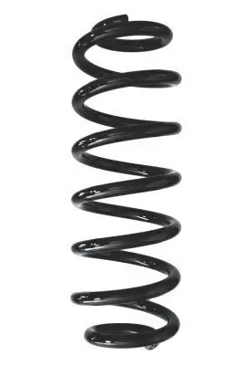 Fahrwerksfeder Hinterachse SPIDAN 87949