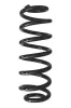 Fahrwerksfeder Hinterachse SPIDAN 87950